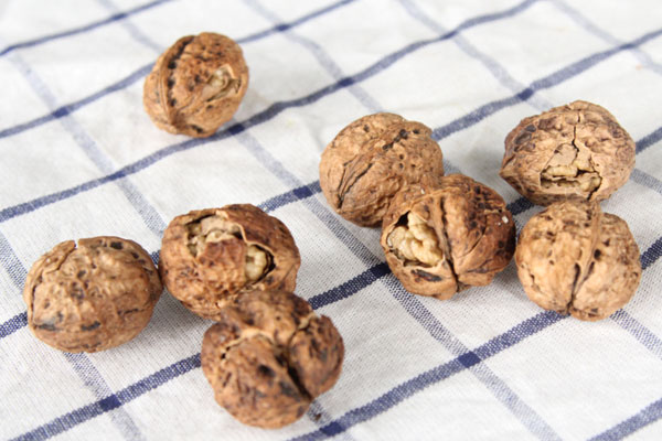 老人补硒 推荐什么药（老年人补硒的重要性）-硒宝网