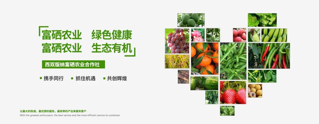 如何正确选择补硒产品（补正确产品选择硒元素好吗）-硒宝网