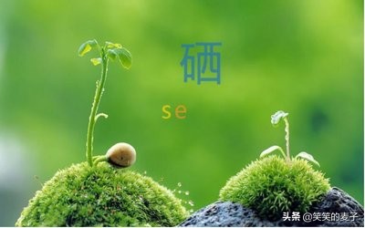 补硒50微克比较安全（补微量元素硒）-硒宝网
