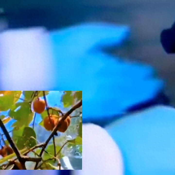 癌症患者补硒缓解疼痛（癌症病人补硒的药有什么）-硒宝网