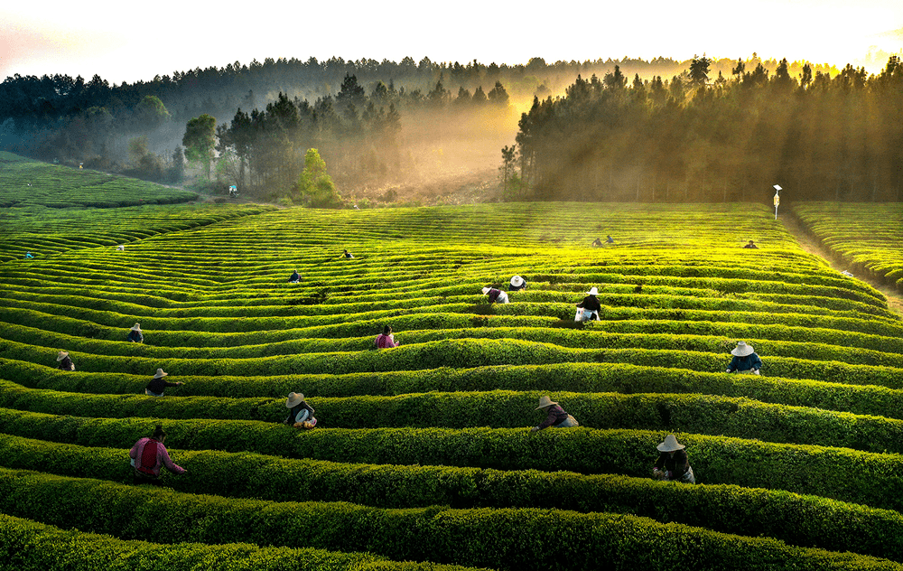 恩施补硒养生基地地址（恩施养生馆）-硒宝网