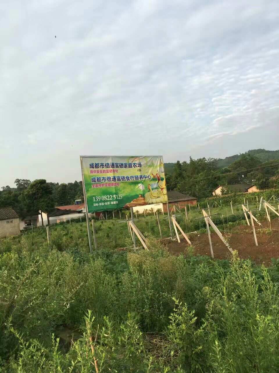 恩施补硒养生基地地址（恩施养生馆）-硒宝网