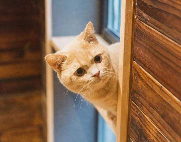 治疗hpv补硒管用吗（硒治hpv吗）-硒宝网