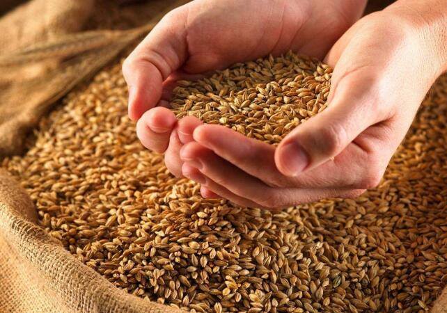 治疗hpv补硒管用吗（硒治hpv吗）-硒宝网