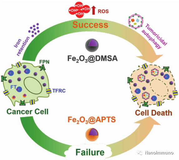 晚期癌症每天补多少硒(癌症晚期喝什么汤最补)-硒宝网