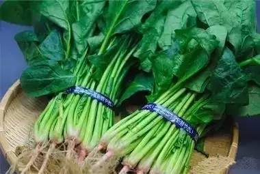 哪种蔬菜补硒效果最好（补硒的蔬菜）-硒宝网