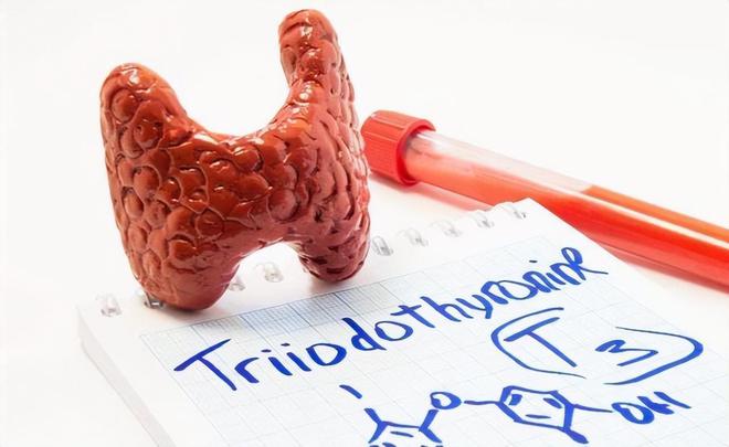 桥本甲状腺补硒的好处（甲状腺桥本吃硒元素）-硒宝网