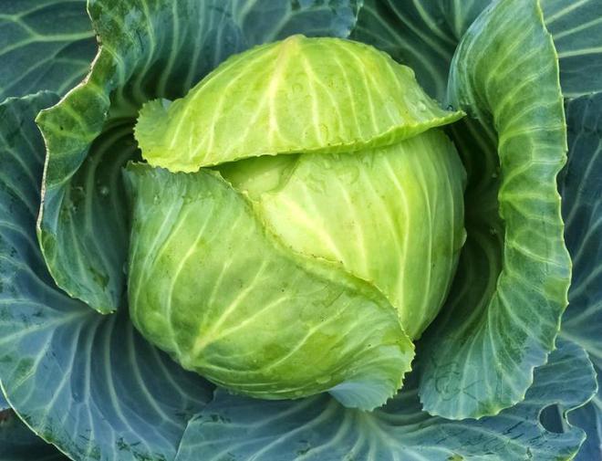 桥本甲状腺补硒的好处（甲状腺桥本吃硒元素）-硒宝网