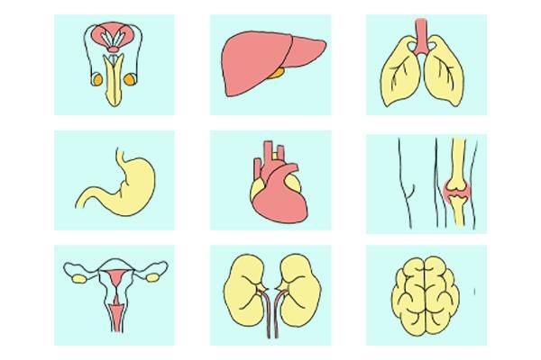 硒元素每天最高补多少(每天补充硒元素)-硒宝网