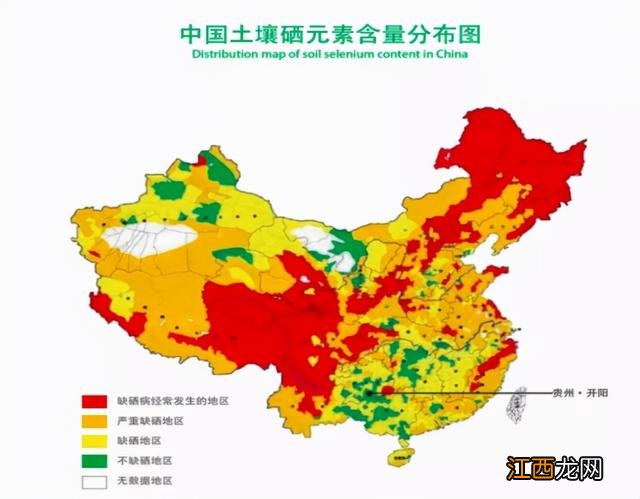 科学补硒哪种方式最好(如何补硒d.吃高吉星蛋白硒好)-硒宝网