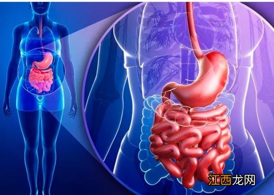 科学补硒哪种方式最好(如何补硒d.吃高吉星蛋白硒好)-硒宝网