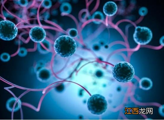 科学补硒哪种方式最好(如何补硒d.吃高吉星蛋白硒好)-硒宝网