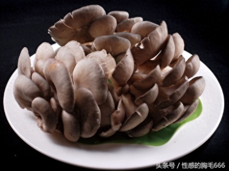 哪些食物可以多吃补硒(补食物吃硒可以长高吗)-硒宝网