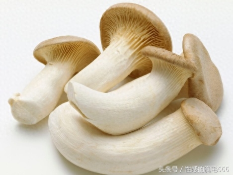 哪些食物可以多吃补硒(补食物吃硒可以长高吗)-硒宝网