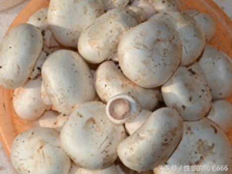 哪些食物可以多吃补硒(补食物吃硒可以长高吗)-硒宝网