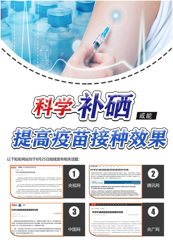 科学补硒健康中国白银（怎样科学补硒）-硒宝网