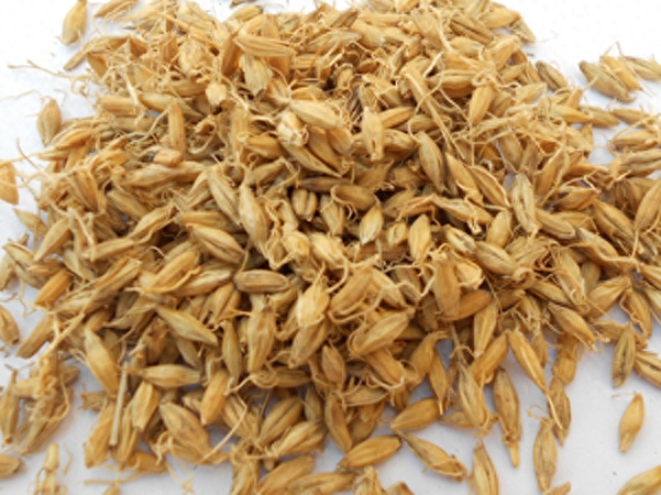 hpv高危为啥要补硒(hpv感染补硒用量)-硒宝网