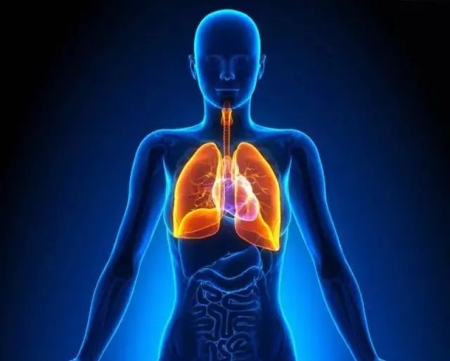 补硒可以治疗多少病症（补硒治疗银屑病最好）-硒宝网