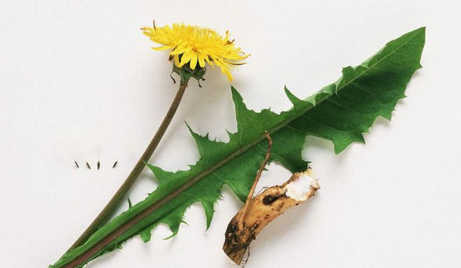 胃癌的人是否可以补硒(胃癌吃硒片有效果吗)-硒宝网