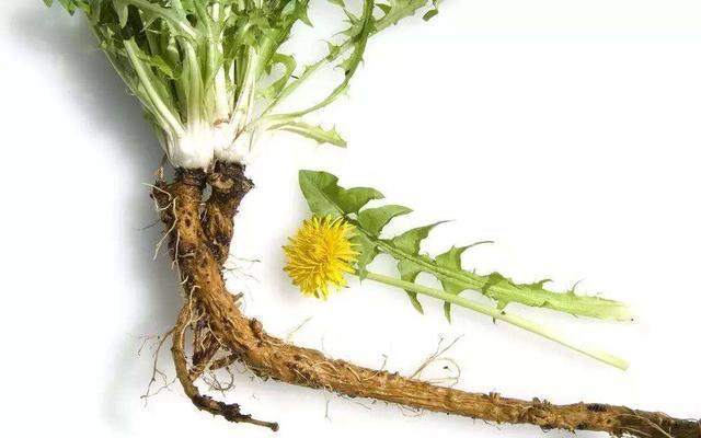 胃癌的人是否可以补硒(胃癌吃硒片有效果吗)-硒宝网