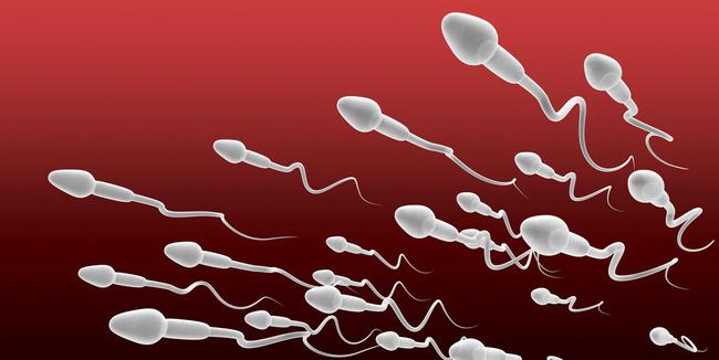 男人需要补锌还是补硒(男人补锌补硒的作用功效)-硒宝网