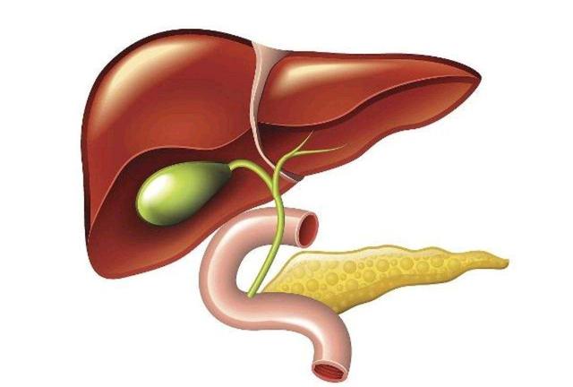 补硒抗癌标语大全图案（抗癌宣传语）-硒宝网