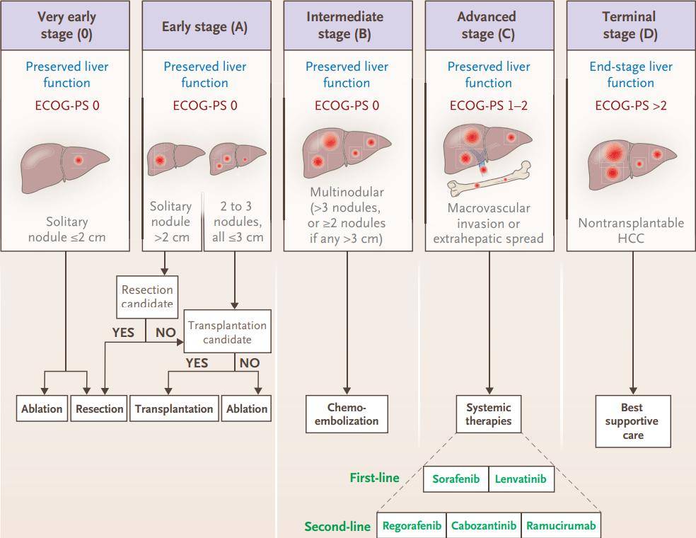 癌症患者如何补硒安全(癌症病人补充硒起什么作用)-硒宝网