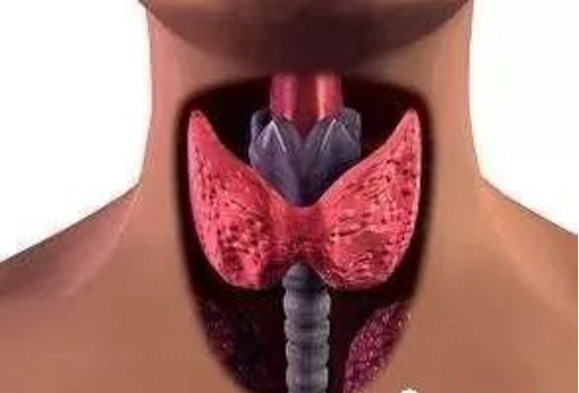 促甲状腺激素过高补硒(过高激素促补甲状腺硒片可以吗)-硒宝网