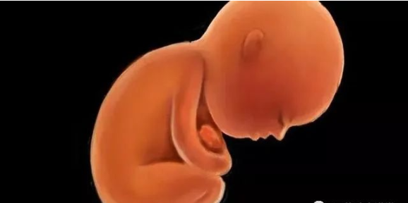 促甲状腺激素过高补硒(过高激素促补甲状腺硒片可以吗)-硒宝网