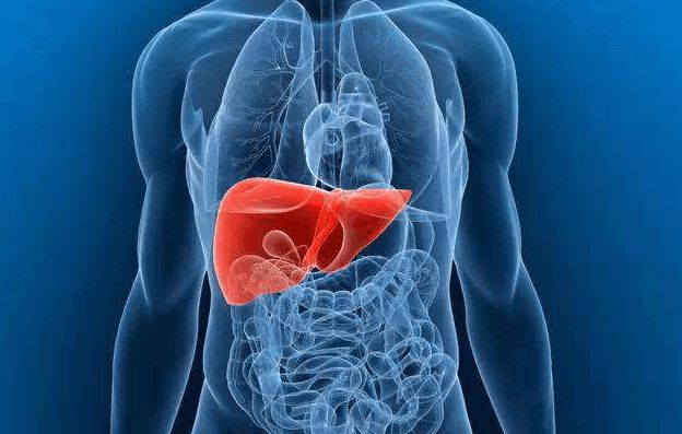 补硒过量导致肝部不适(补硒过度会硒中毒吗)-硒宝网