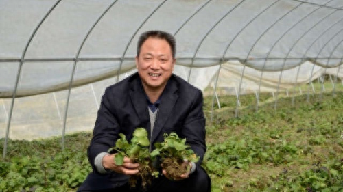 肺癌补硒调理反应多久（肺癌补硒吃什么药）-硒宝网