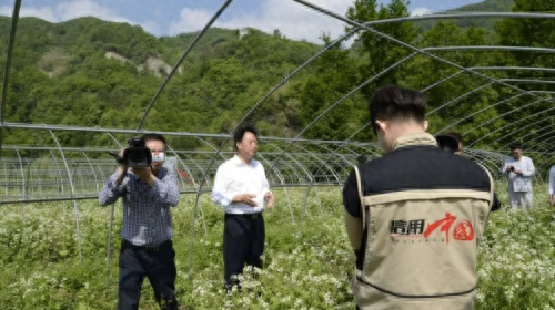 肺癌补硒调理反应多久（肺癌补硒吃什么药）-硒宝网