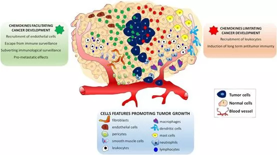 不同疾病如何补硒补钙（补硒的钙片）-硒宝网