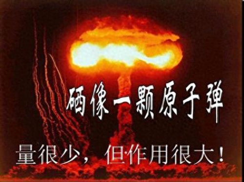 甲状腺补硒食物有那些（补甲状腺食物硒有用吗）-硒宝网