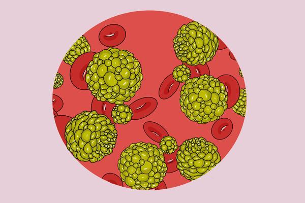 什么水果食物补硒最好(水果补食物好硒含量高吗)-硒宝网