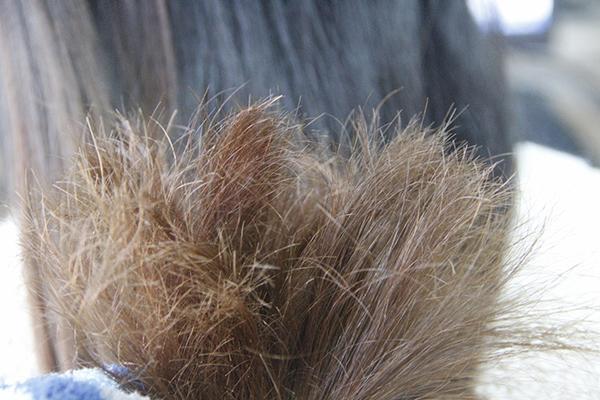 什么水果食物补硒最好(水果补食物好硒含量高吗)-硒宝网