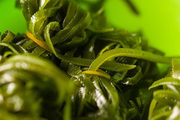 什么水果食物补硒最好(水果补食物好硒含量高吗)-硒宝网