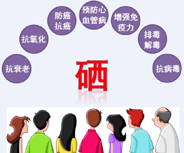 健康人群如何正确补硒(身体健康补硒好吗)-硒宝网