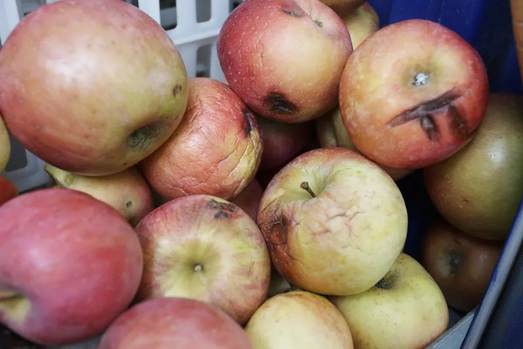 癌症晚期大量补硒好吗（癌症晚期可以吃硒吗）-硒宝网