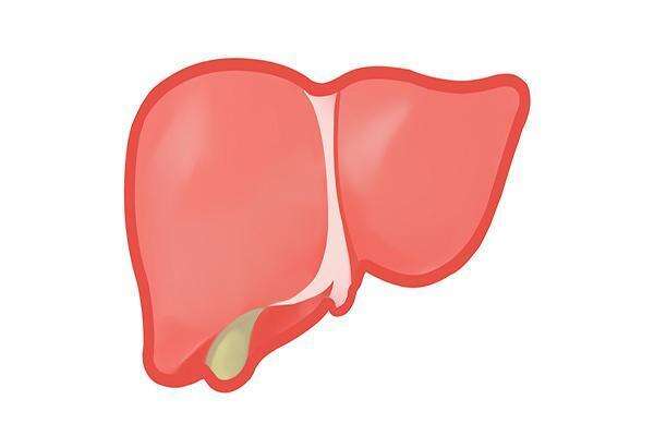 肝脏病人怎样补硒元素（肝病患者补硒）-硒宝网