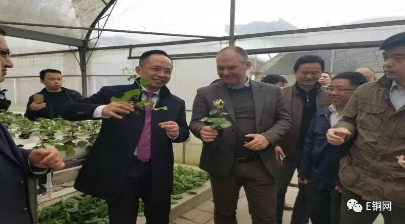 作为个人怎么宣传补硒(全民补硒的口号)-硒宝网