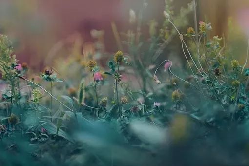 癌症补硒成功案例分享(硒癌症治疗)-硒宝网