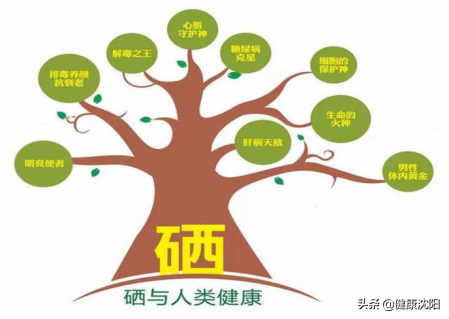 补硒对甲状腺结节有效（补甲状腺结节有效硒片有哪些）-硒宝网