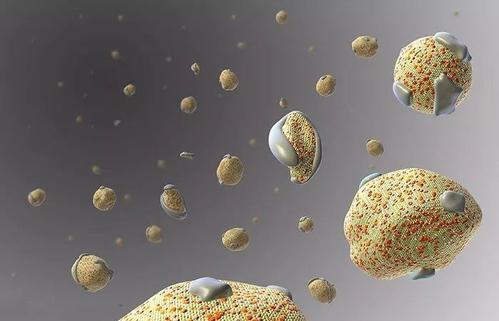 纤维结合蛋白偏低补硒（蛋白纤维偏低补结合硒有用吗）-硒宝网