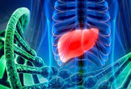 肝脏病人怎样补硒元素（肝癌病人补硒有用吗）-硒宝网