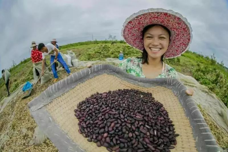 怎样通过药物补硒补肾（药用补硒）-硒宝网