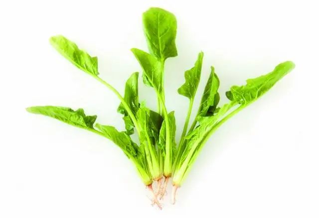 什么蔬菜补硒效果最好(吃什么蔬菜可以补硒)-硒宝网