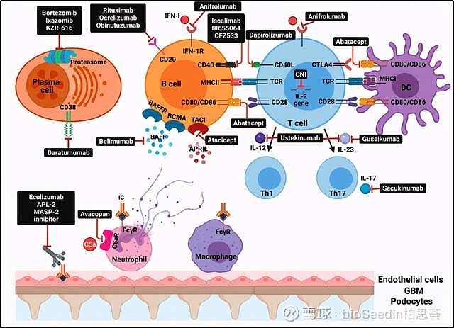 预防hpv可以补硒吗(hpv高危补硒有用吗)-硒宝网