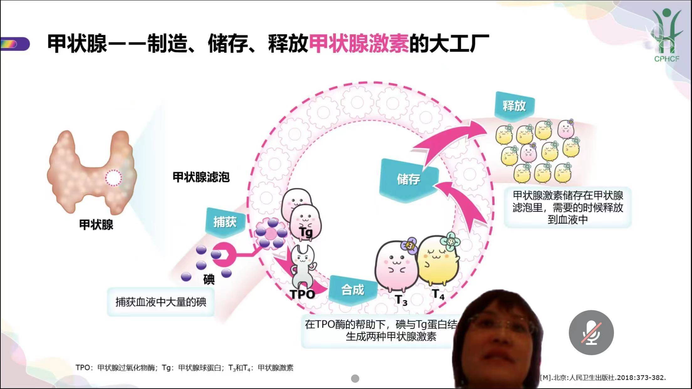 桥本患者怎么补硒食物（桥本补硒吃什么）-硒宝网