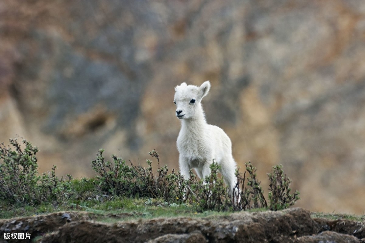 日常补硒 促进肠健康(补硒对肠息肉好处)-硒宝网